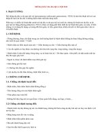 KỸ THUẬT mở dạ dày RA DA QUA nội SOI   nội SOI CHẨN đoán CAN THIỆP