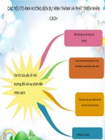 các yếu tố môi trường  ảnh hưởng đến nhân cách