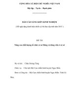 sáng kiến nâng cao chất lượng tổ chức cơ sở đảng và đảng viên ở cơ sở