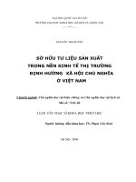 Sở hữu tư liệu sản xuất trong nền kinh tế thị trường định hướng xã hội chủ nghĩa ở việt nam 