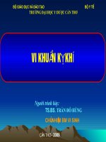 VI KHUẨN kỵ KHÍ 