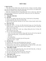 bệnh thủy đậu,viêm gian và viên não 