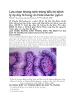 Lựa chọn kháng sinh trong điều trị bệnh lý dạ dày tá tràng do helicobacter pylori 