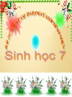 BÀI 25: NHỆN VÀ SỰ ĐA DẠNG CỦA LỚP HÌNH NHỆN