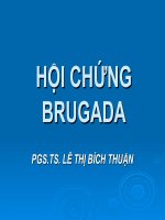 Hội chứng brugada   PGS lê thị bích thận 