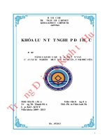 Nâng cao hiệu quả sử dụng vốn vay của các hộ nghèo ở huyện đồng xuân, tỉnh phú yên 