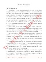 Kế toán thuế giá trị gia tăng và thuế bảo vệ môi trường tại công ty xăng dầu thừa thiên huế 
