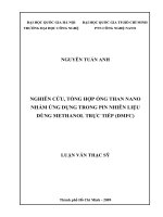 Nghiên cứu, tổng hợp ống than nano nhằm ứng dụng trong pin nhiên liệu dùng methanol trực tiếp (DMFC) 