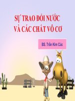 Bài 18 sự TRAO đổi nước và các CHẤT vô cơ 