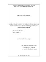 Nghiên cứu chế tạo xúc tác trên cơ sở molybden (VI) oxide cho phản ứng oxy hóa chọn lọc methanol thành formaldehyde