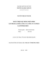 Hoàn thiện hệ thống phân phối sản phẩm gas hóa lỏng của công ty cổ phần gas petrolimex 
