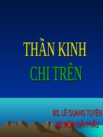THẦN KINH CHI TRÊN 