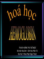 bài giảng hóa học hemoglobin 