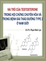 Vai trò của testosteron trong hội chứng chuyển hoá và trong bệnh đái tháo đường type 2 ở nam giới   GS phạm đình lựu 