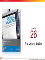 Lecture Medical assisting: Administrative and clinical procedures with anatomy and physiology (4e) – Chapter 26