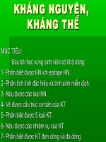 KHÁNG NGUYÊN, KHÁNG THỂ 