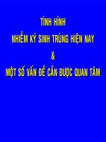 Tình hình nhiễm ký sinh trùng hiện nay và một số vấn đề cần được quan tâm 
