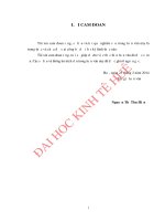 Nâng cao chất lượng dịch vụ chăm sóc khách hàng tại chi nhánh thông tin di động quảng trị  VMS MOBIFONE 