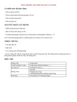 PHÁC đồ điều TRỊ VIÊM TAI GIỮA cấp TÍNH  BỆNH TAI mũi HỌNG