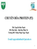 bài giảng chuyển hóa protein (p2) 