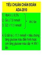 Phác đồ điều trị đái tháo đường type 2 