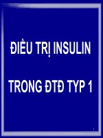 Điều trị insulin trong đái tháo đường type 1 