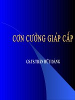 Cơn cường giáp cấp   GS trần hữu dàng 