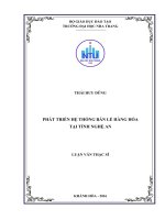 Phát triển hệ thống bán lẻ hàng hóa tại tỉnh nghệ an 