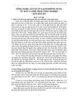 Tiểu luận công nghệ sản xuất gạch không nung từ đất và phế thải công nghiệp đất hóa đá 