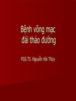 Bệnh võng mạc đái tháo đường 