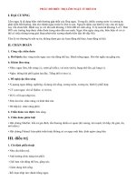 PHÁC đồ điều TRỊ lõm NGỰC ở TRẺ EM   KHOA NHI