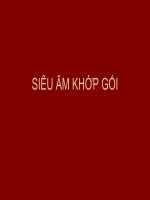 tài liệu siêu âm khớp gối