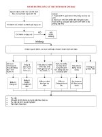 SƠ đồ HƯỚNG dẫn xử TRÍ TIẾT DỊCH âm đạo