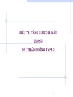 Điều trị tăng glucose máu trong đái tháo đường type 2 