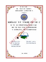 Một số giải pháp nâng cao hiệu quả hoạt động sản xuất kinh doanh tại công ty cổ phần COSEVCO i 8 
