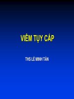 bài giảng viêm tụy cấp lê minh tân 