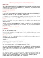 CHẨN đoán, điều TRỊ VIÊM DA DẠNG HERPES (DERMATITIS HERPETIEORMIS)