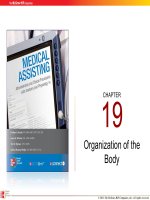 Lecture Medical assisting: Administrative and clinical procedures with anatomy and physiology (4e) – Chapter 19