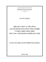 Hiệu quả cho vay tiêu dùng tại chi nhánh ngân hàng nông nghiệp và phát triển nông thôn việt nam   chi nhánh gia bình, bắc ninh 