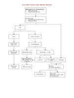 PHÁC đồ điều TRỊ UNG THƯ cổ tử CUNG TRONG THAI kỳ