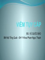 Bài Giảng Viêm Tụy Cấp BS. VŨ QUỐC BẢO
