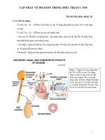 Cập nhật về digoxin trong điều trị suy tim   ths bùi hữu minh trí 