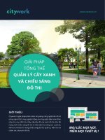 Giải pháp tổng thể quản lý cây xanh và chiếu sáng đô thị
