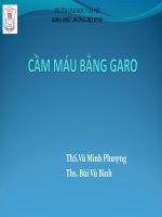 ĐIỀU DƯỠNG ga ro cầm máu 