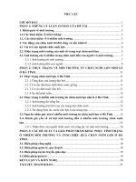 Thực trạng ô nhiễm môi trường từ chăn nuôi lợn nhỏ lẻ ở Hà Tĩnh