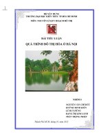 Tiểu luận bài quá trình đô thị hóa ở hà nội 