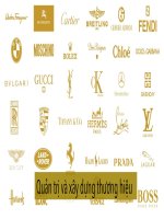 Quản trị thương hiệu (brand management)