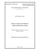 Động lực học cuốn protein trong môi trường tế bào (TT) 