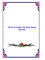 Khóa luận hệ thống đường ống biển 