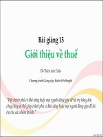Giới thiệu về thuế   bài giảng chương trình giảng dạy kinh tế fulbright